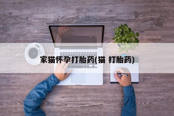 米非米索私人微信家猫怀孕打胎药(猫 打胎药)